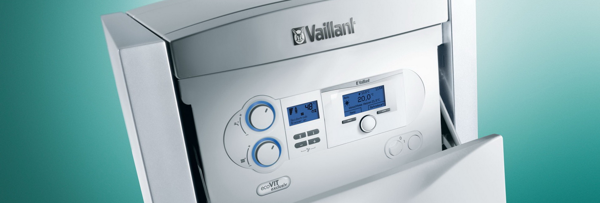 Reinigung der Vaillant-Anlagen